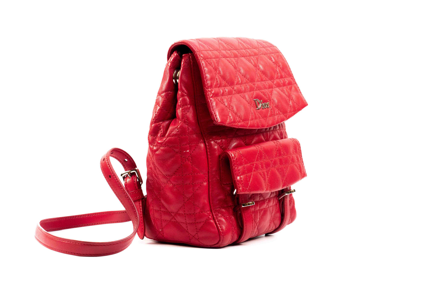 Christian Dior Small Quilted Cannage Stardust Backpack