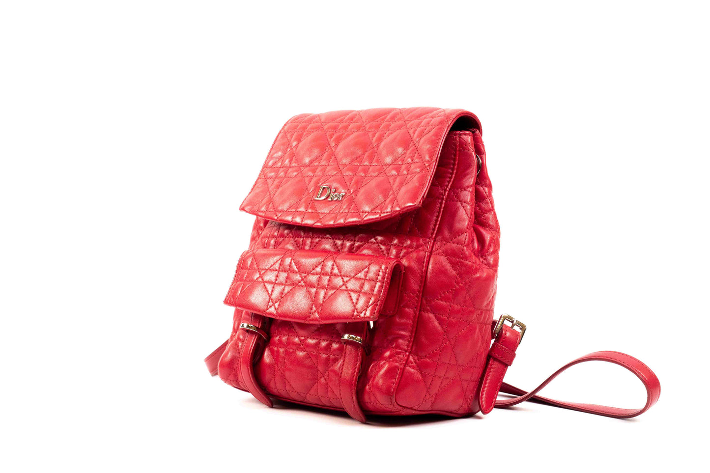 Christian Dior Small Quilted Cannage Stardust Backpack