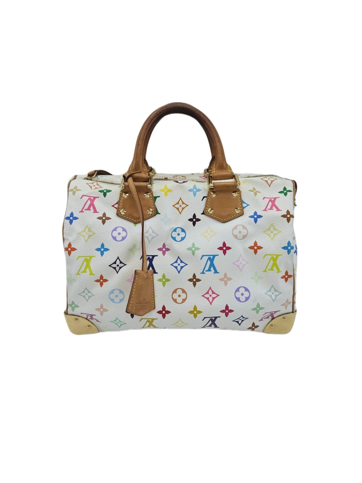 Louis Vuitton Multicolor Speedy 30