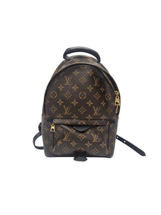 Louis Vuitton Palm Spring Back Pack MM